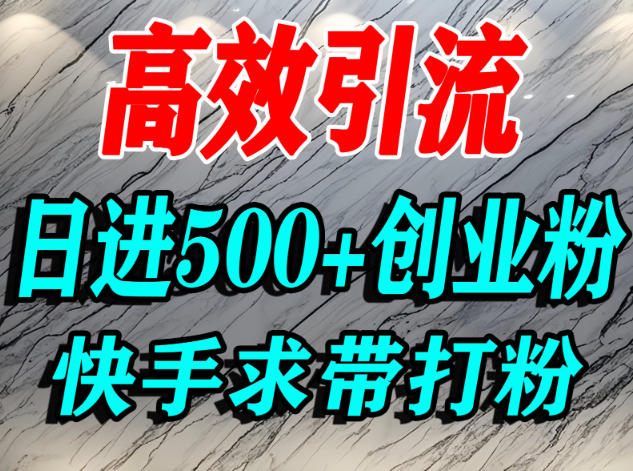 怎么打创业粉?快手求带视角精准引流创业粉,宝妈、学生群体日进500+精准流量-卓别林资源社
