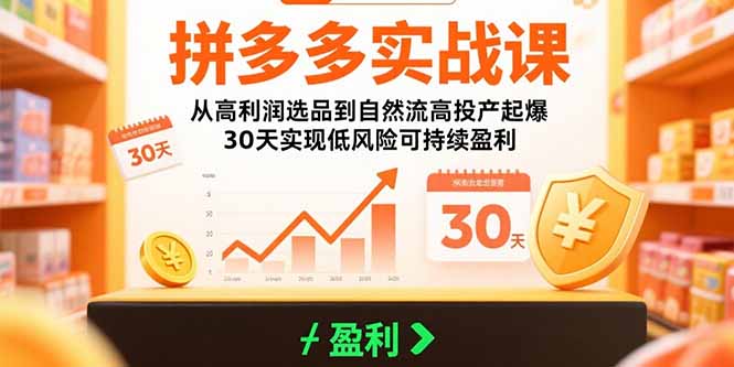 拼多多实战课：从高利润选品到自然流高投产起爆 30天实现低风险可持续盈利-卓别林资源社