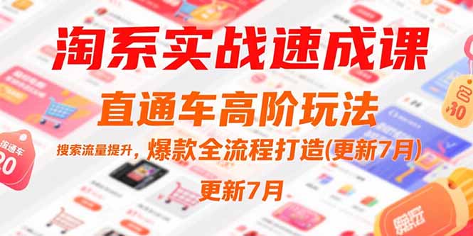 淘系实战速成课，直通车高阶玩法，搜索流量提升，爆款全流程打造(更新7月-卓别林资源社
