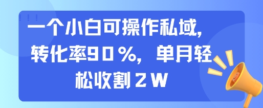 一个小白可操作私域，转化率90%，单月轻松收割2W-卓别林资源社
