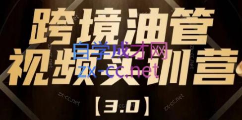 阿蔺Leo·跨境油管视频YouTube实训营(更新2025)-卓别林资源社