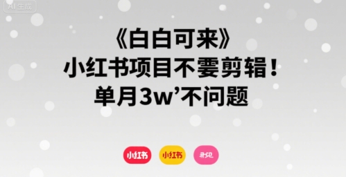 小白可来 小红书项目不需要剪辑 单月3w不是问题-卓别林资源社