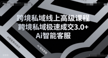 跨境私域线上高级课程，跨境私域极速成交3.0+Ai智能客服-卓别林资源社