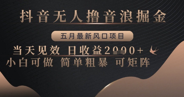 抖音无人撸音浪掘金，五月最新风口项目，当天见效，日收益多张，小白可做简单粗暴可矩阵【揭秘】-卓别林资源社