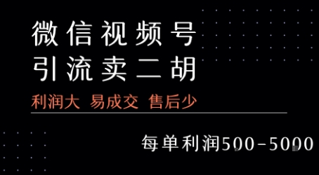 视频号卖二胡教程，利润大 易成交 售后少，一单利润5张+-卓别林资源社