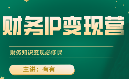 有有老师·财务IP变现营，财务知识变现必修课-卓别林资源社