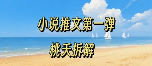 小说推文项目操作全流程第一弹，0粉就能做，门槛低非常适合新手-卓别林资源社