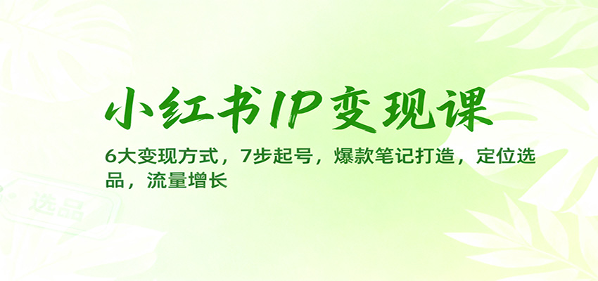 小红书IP变现课:6大变现方式,7步起号,爆款笔记打造,定位选品,流量增长-卓别林资源社