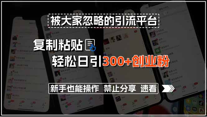 被大家忽略的引流平台，复制粘贴轻松日引300+创业粉，新手也能操作，禁…-卓别林资源社
