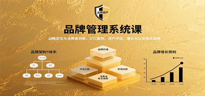 品牌管理系统课：战略定位与消费者洞察，DTC案例、资产评估，增长与公关体系搭建-卓别林资源社