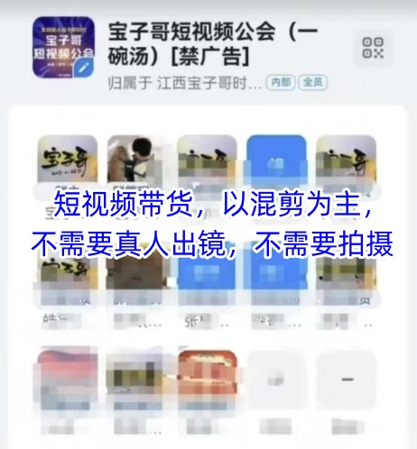宝子哥头部团队短视频带货，以混剪为主，不需要真人出镜，不需要拍摄-卓别林资源社