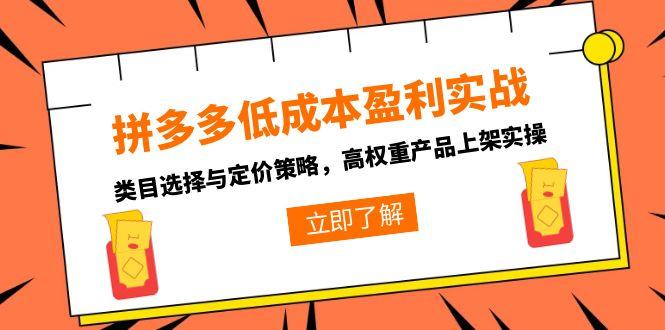 拼多多低成本盈利实战，类目选择与定价策略，高权重产品上架实操-卓别林资源社