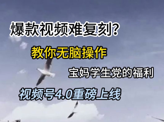 视频号4.0重磅上线，爆款视频难复刻？教你无脑操作宝妈学生党的福利【揭秘】-卓别林资源社