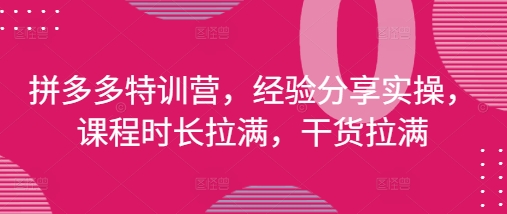 拼多多特训营，经验分享实操，课程时长拉满，干货拉满(更新25年4月)-卓别林资源社