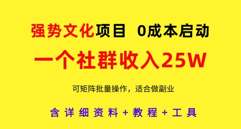 强势文化项目，一个社群收入25个W，0成本启动，可矩阵批量操作，原创详细实操教程-卓别林资源社