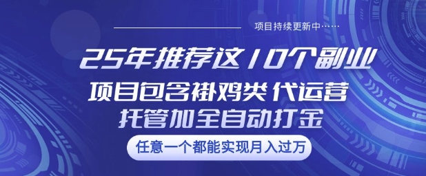 25年推荐这10个副业项目包含褂鸡类、代运营托管类、全自动打金类【揭秘】-卓别林资源社