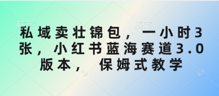私域卖壮锦包，一小时3张，小红书蓝海赛道3.0版本， 保姆式教学-卓别林资源社