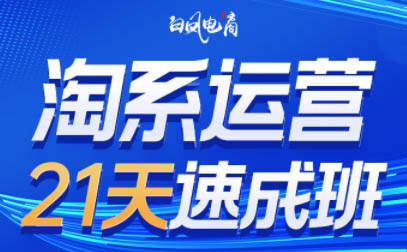 白凤电商·淘系运营21天速成班(更新5月)-卓别林资源社