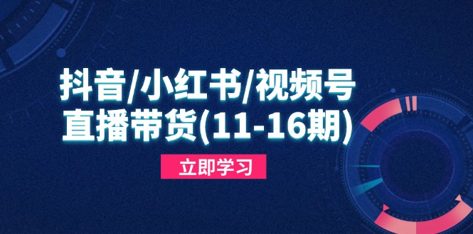 抖音/小红书/视频号/直播带货(11-16期-卓别林资源社