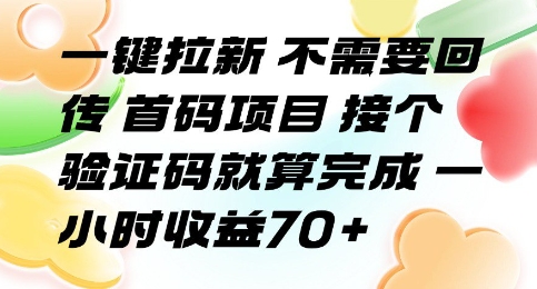 一键拉新 不需要回传 首码项目 接个验证码就算完成 一小时收益70+【揭秘】-卓别林资源社