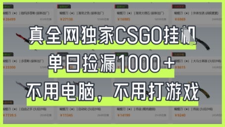 真全网独家CSGO挂G，单日捡漏1k+【揭秘】-卓别林资源社