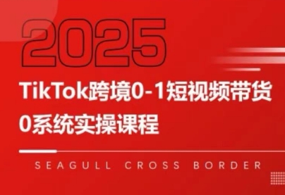 大亿老师·TikTok跨境0-1短视频带货-卓别林资源社