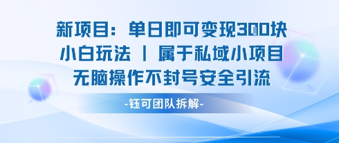 新项目单日即可变现3张的小白玩法无脑操作不封号安全引流-卓别林资源社