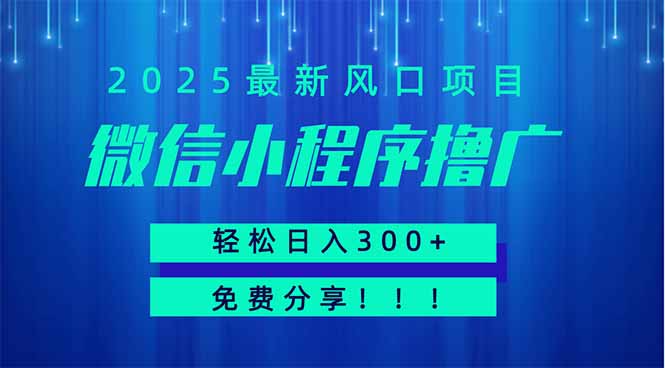微信小程序撸广，最新风口项目，日入300+ 免费分享 可批量操作 小白可…-卓别林资源社