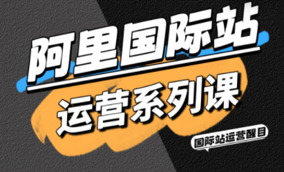 醒目老师·阿里国际站运营系列课(更新11月)-卓别林资源社