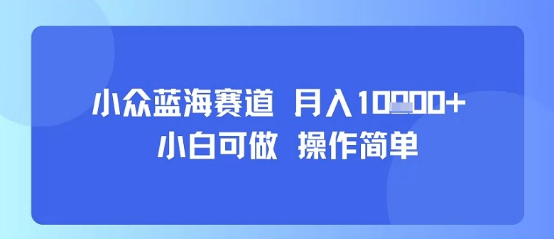 小众蓝海赛道，小白可做，操作简单，每天30分钟，月入1W+-卓别林资源社