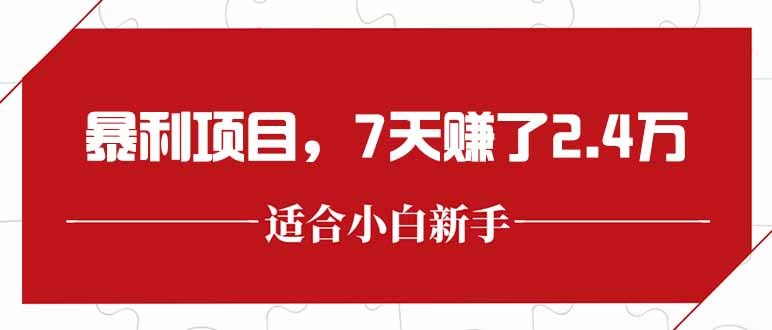 最新暴利项目，每单收益轻松在300以上，7天赚了2.4万-卓别林资源社