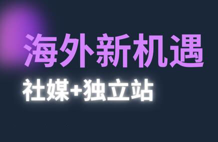 棕榈·2025出海新机遇(社媒+独立站)-卓别林资源社