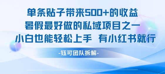 单条贴子带来5张的收益，暑假最好做的私域项目之一，小白也能轻松上手，有小红书就行-卓别林资源社