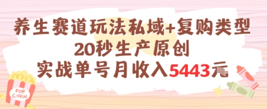 养生赛道玩法私域+复购类型，20秒生产原创实战单号月收入5k+-卓别林资源社