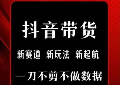 抖音短视频一刀不剪带货，不剪辑，不直播，每天发个视频，等着出单获取带货佣金-卓别林资源社