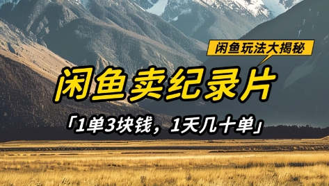 闲鱼卖纪录片1单3块钱，1天几十单，项目稳定有潜力-卓别林资源社