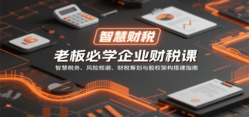 老板必学企业财税课：智慧税务、风险规避、财税筹划与股权架构搭建指南-卓别林资源社