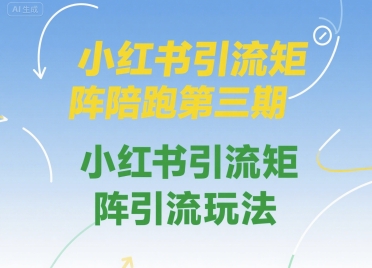 小红书引流矩阵陪跑第三期，小红书引流矩阵引流玩法-卓别林资源社