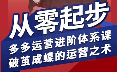 拼多多运营进阶系统课，从零起步，多多运营进阶体系课，破茧成蝶的运营之术-卓别林资源社