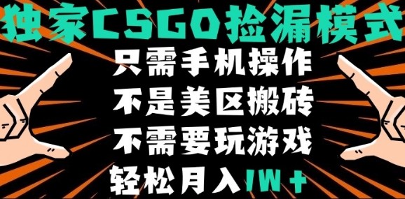 CSGO自动捡漏项目，最新独家玩法，不是美区搬砖，不需要了解和玩游戏，新手小白轻松月入1W+【揭秘】-卓别林资源社