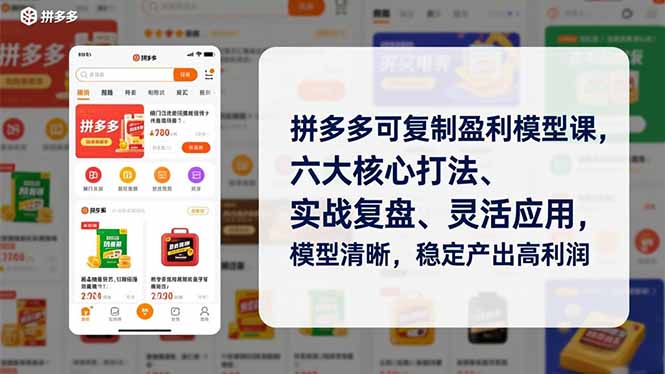 拼多多可复制盈利模型课，六大核心打法、实战复盘、灵活应用，模型清晰，稳定产出高利润-卓别林资源社