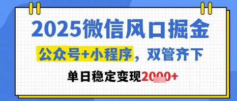 2025微信风口掘金，公众号+小程序双管齐下，单日稳定变现1k+【揭秘】-卓别林资源社