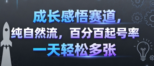 成长感悟赛道，纯自然流，百分百起号率 一天轻松多张-卓别林资源社