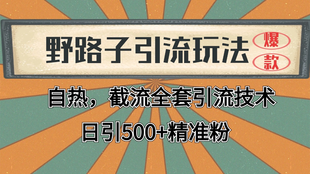2024首发野路子引流玩法截流自热全平台打法，全自动引流【日引2000+精准客户】-卓别林资源社
