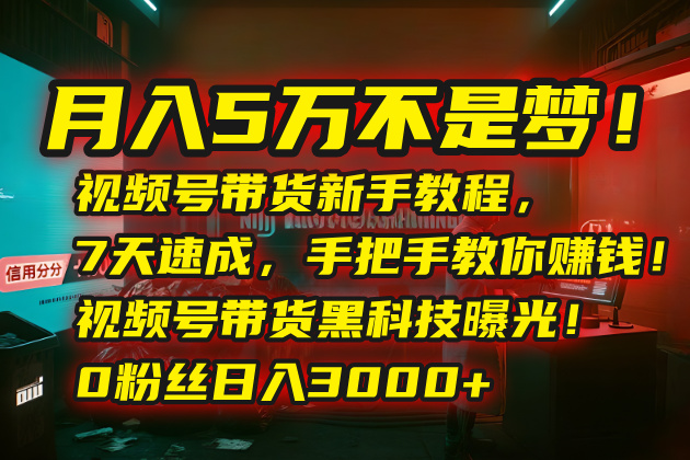 月入5万不是梦！视频号带货新手教程，7天速成，手把手教你赚钱！视频号…-卓别林资源社