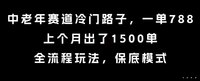 中老年赛道冷门路子，一单788，上个月出了1500单，全流程玩法，保底模式【揭秘】-卓别林资源社