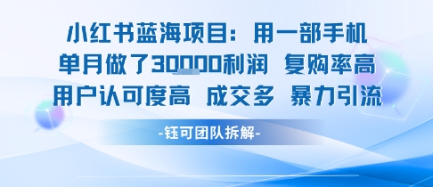 小红书蓝海项目，一部手机单月做了3W利润，小白也能月入过1W用户认可度高成交多-卓别林资源社