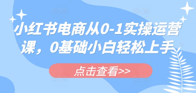 小红书电商从0-1实操运营课，0基础小白轻松上手-卓别林资源社
