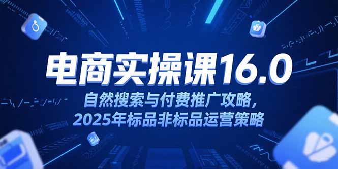 淘宝电商运营课16.0，自然搜索与付费推广攻略，2025年标品非标品运营策略-卓别林资源社