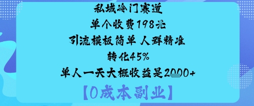 私域冷门赛道:单个收费198米引流模板简单人群精准转化45%单人一天大概收益是1k+-卓别林资源社